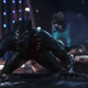 T’Challa, chillin’ on a car. Like you do.